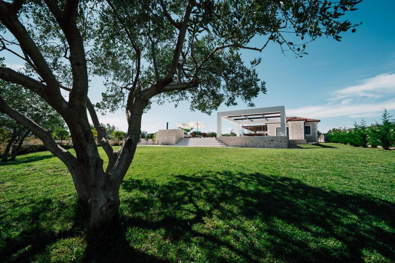 Villa Olivetum Zadar Exteriér fotografie