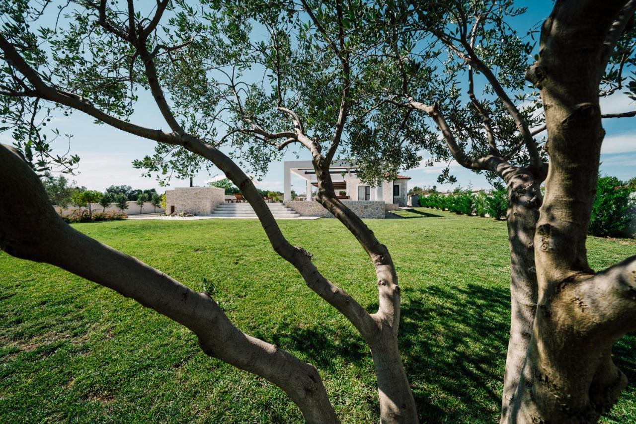 Villa Olivetum Zadar Exteriér fotografie